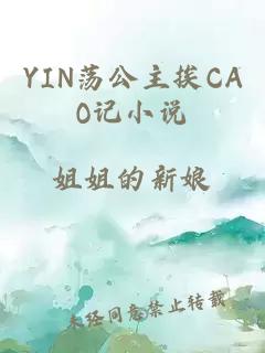 YIN荡公主挨CAO记小说