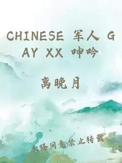 CHINESE 军人 GAY XX 呻吟