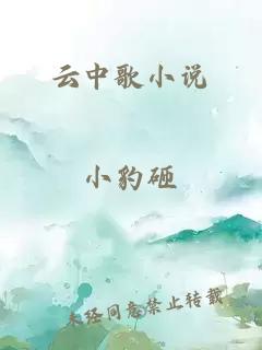 云中歌小说