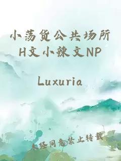 小荡货公共场所H文小辣文NP