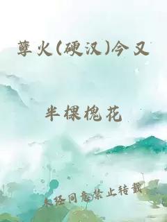 孽火(硬汉)今又