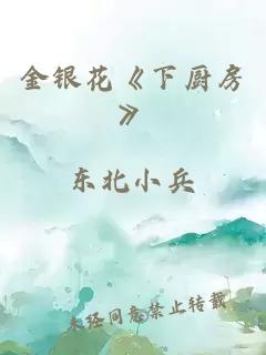 金银花《下厨房》