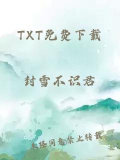 TXT免费下载