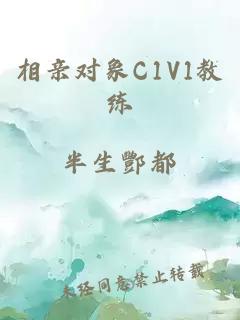 相亲对象C1V1教练