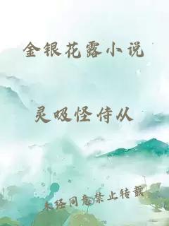 金银花露小说