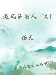 追风筝的人 TXT