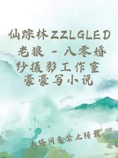 仙踪林ZZLGLED 老狼 - 八零婚纱摄影工作室