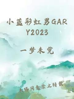 小蓝彩虹男GARY2023