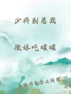 少将别惹我