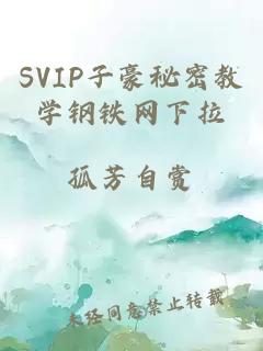 SVIP子豪秘密教学钢铁网下拉