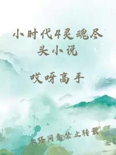 小时代4灵魂尽头小说