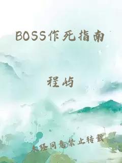 BOSS作死指南