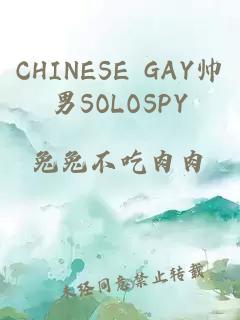 CHINESE GAY帅男SOLOSPY