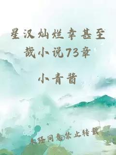 星汉灿烂幸甚至哉小说73章