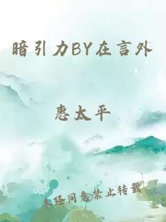 暗引力BY在言外