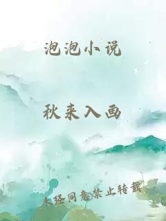 泡泡小说