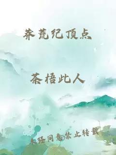 莽荒纪顶点