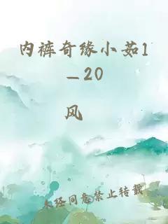 内裤奇缘小茹1—20