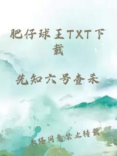 肥仔球王TXT下载