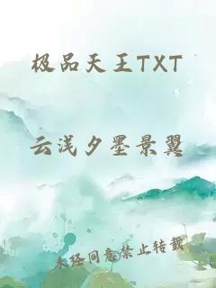 极品天王TXT