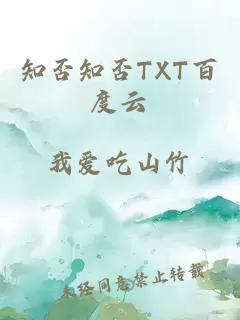 知否知否TXT百度云