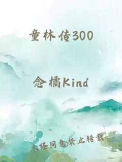 童林传300