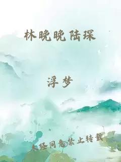 林晚晚陆琛