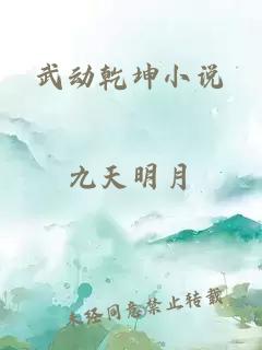 武动乾坤小说