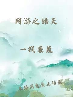 网游之皓天