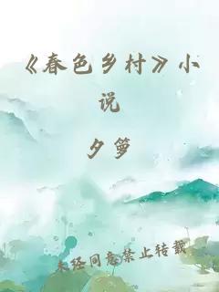 《春色乡村》小说