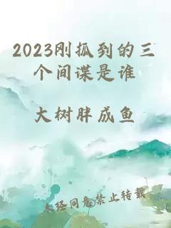 2023刚抓到的三个间谍是谁