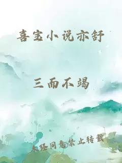 喜宝小说亦舒