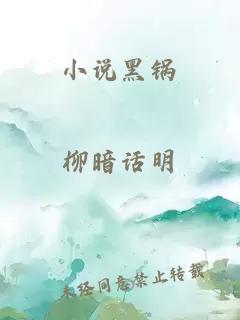 小说黑锅