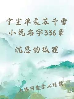 宁尘单柔苏千雪小说名字336章