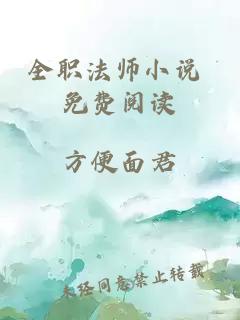 全职法师小说 免费阅读