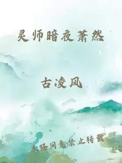 灵师暗夜萧然