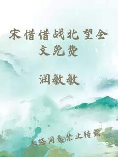 宋惜惜战北望全文免费