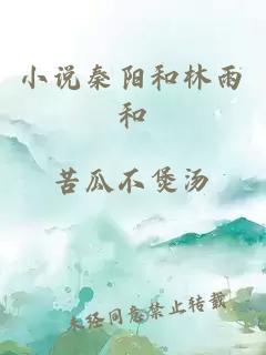 小说秦阳和林雨和