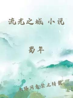 流光之城 小说