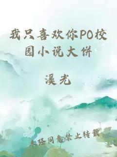 我只喜欢你PO校园小说大饼