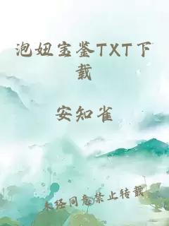 泡妞宝鉴TXT下载