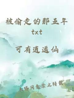 被偷走的那五年txt