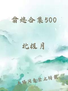 翁熄合集500