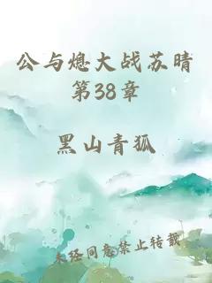 公与熄大战苏晴第38章