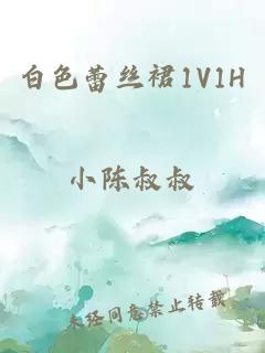 白色蕾丝裙1V1H