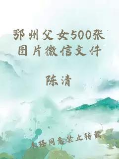 鄂州父女500张图片微信文件