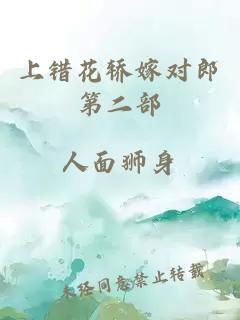 上错花轿嫁对郎第二部