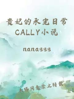 贵妃的承宠日常CALLY小说