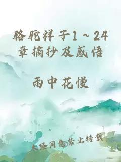 骆驼祥子1～24章摘抄及感悟