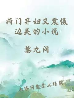 将门弃妇又震慑边关的小说